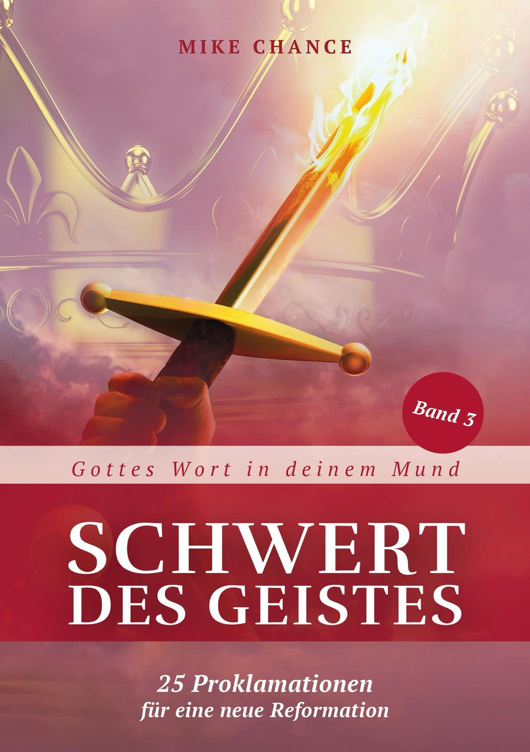 NEU Schwert des Gesites Band 3